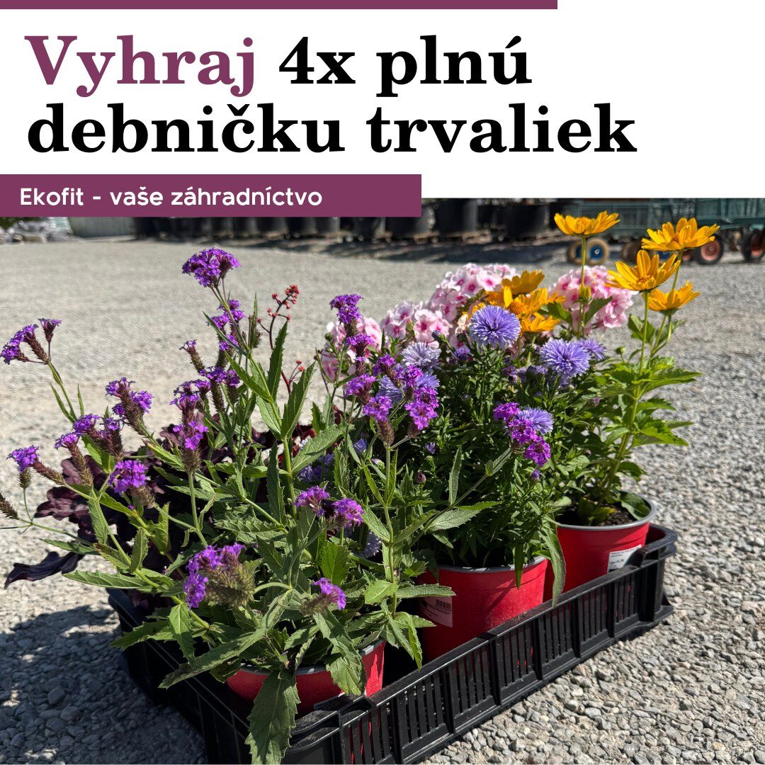 Vyhrajte plnú debničku trvaliek – FB