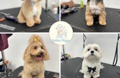 SÚŤAŽ V SALÓNE PEGGY